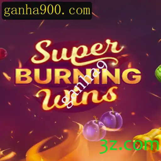Descubra o Fascinante Mundo de SuperBurningWins: Um Guia Completo sobre o Jogo