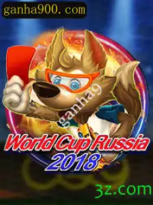 WorldCupRussia2018: A Jornada do Campeonato de Futebol